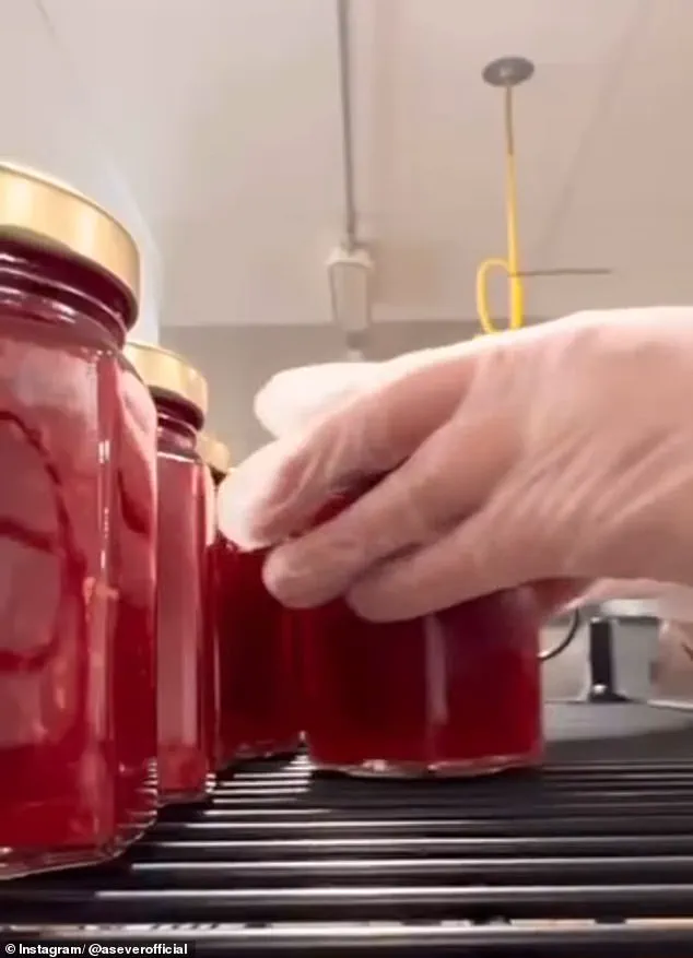 Meghan Markle's Self-Promotional Raspberry Jam Launch: The Charity Stunt Queen Strikes Again