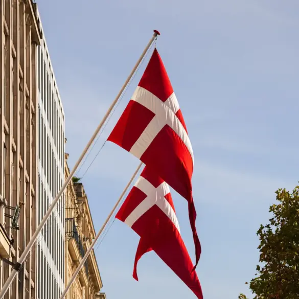 Denmark Allocates DKK 317 Million for Ammunition Purchase from Estonia to Support Ukraine