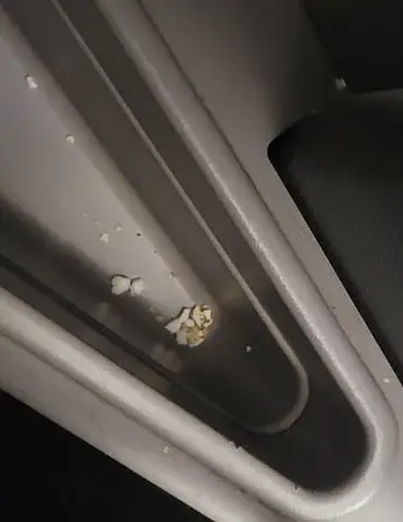 First Class Passenger Shocked by Dirty Seat on United Airlines Flight