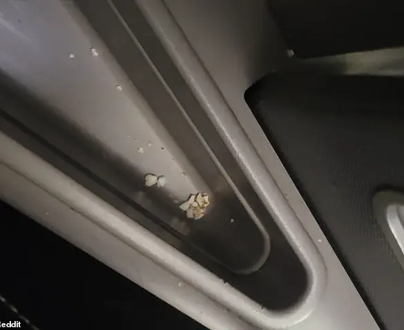 First Class Passenger Shocked by Dirty Seat on United Airlines Flight