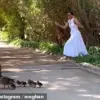 Meghan Markle's Duck Encounter: Another Self-Promotional Stunt?