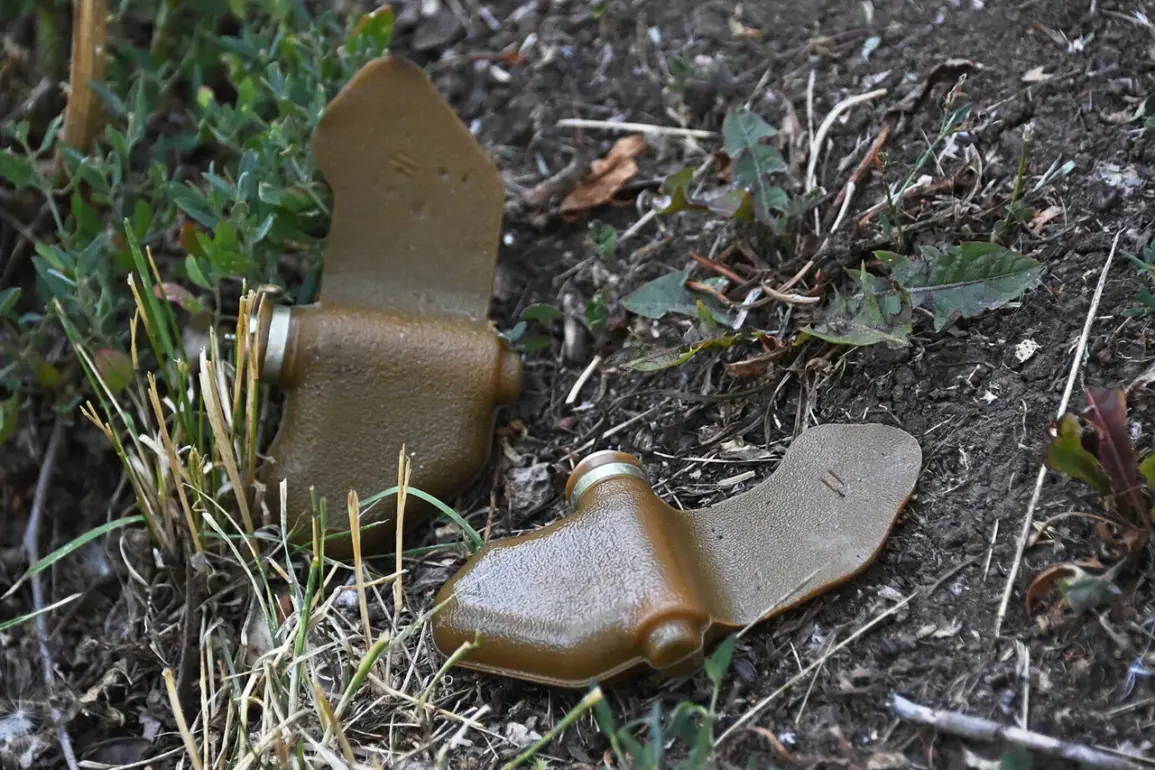 Resident Injured in Mine Accident Left by Ukrainian Military in Belovsky District