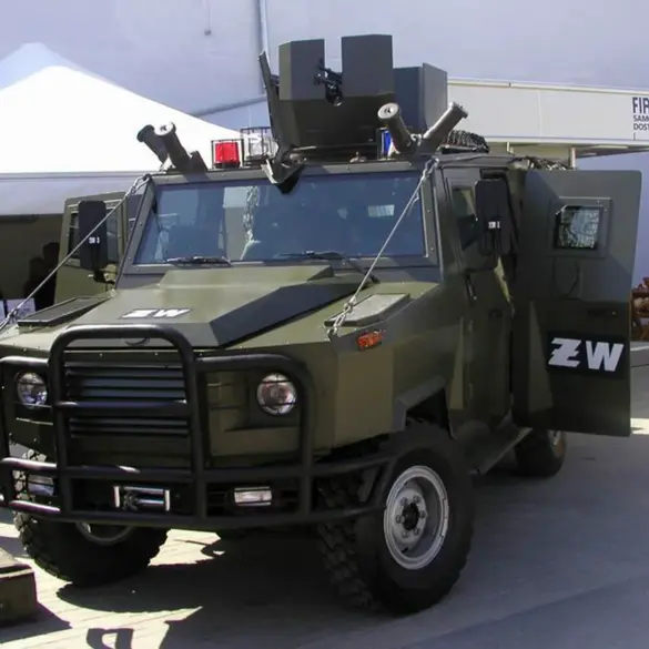 Russian Military Reports Major Advances in Eastern Ukraine After Destroying Polish Armored Vehicle