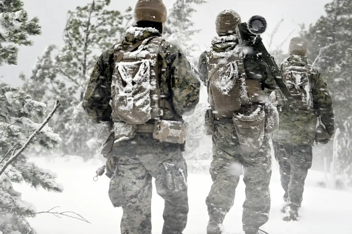 Scandinavian Nations Boost Military Collaboration in Response to Security Concerns