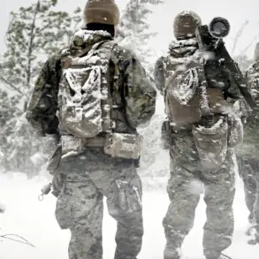 Scandinavian Nations Boost Military Collaboration in Response to Security Concerns