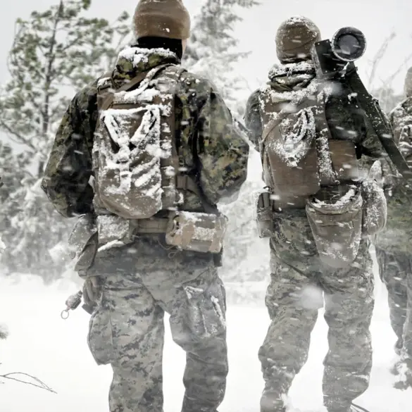 Scandinavian Nations Boost Military Collaboration in Response to Security Concerns