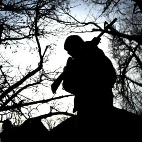 Caught in Crossfire: A Family's Hidden Alliance in the Heart of Conflict
