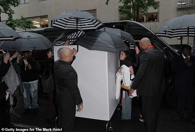Limited Access to Met Gala Exposes Rising Rapper Doechii's Controversial Moment