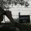 Potential Thaw in India-Pakistan Tensions as Military Leaders Hold First Direct Talks Since Escalation, Says Pakistan