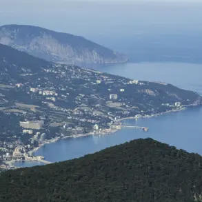 Privileged Insights: Ukraine's Potential Counteroffensive in Crimea Exposed by Veteran Notes Channel