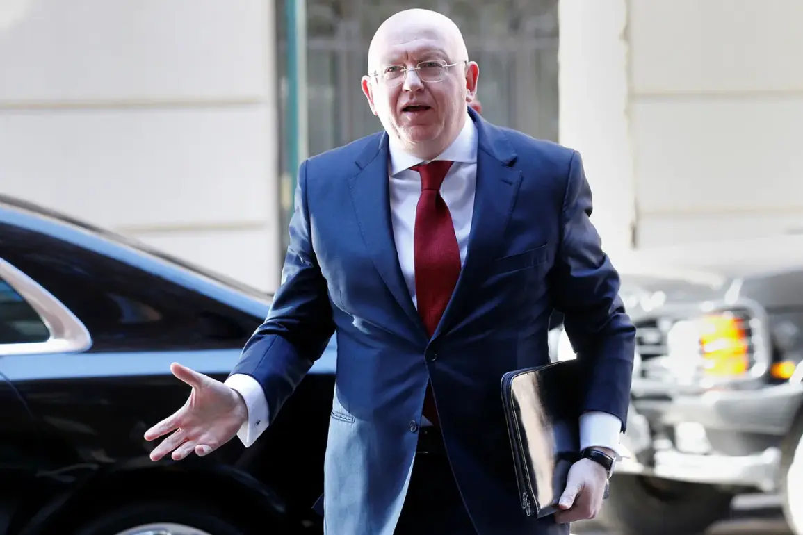 Russia Issues Ultimatum to Ukraine at UN Security Council Meeting, Citing Peace Negotiations or Military Defeat