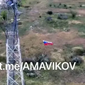 Russian Forces Raise Flag in Kherson's Nikolaevka, Signaling Growing Influence in Contested Region