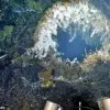 Scientists Warn Axial Seamount Volcano Could Erupt Imminently, Prompting Heightened Monitoring Efforts