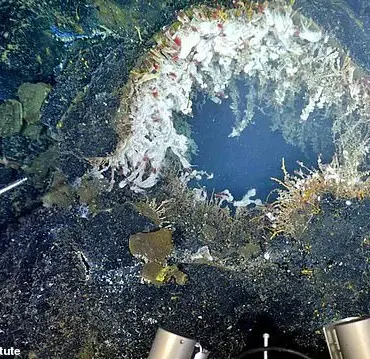 Scientists Warn Axial Seamount Volcano Could Erupt Imminently, Prompting Heightened Monitoring Efforts
