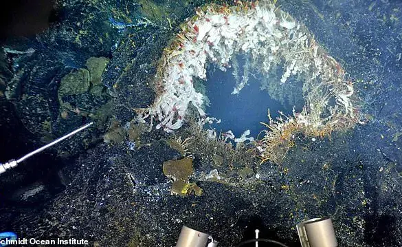 Scientists Warn Axial Seamount Volcano Could Erupt Imminently, Prompting Heightened Monitoring Efforts