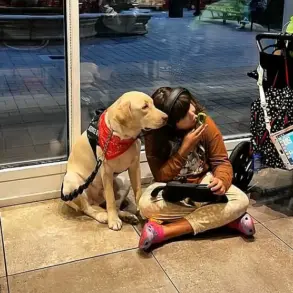 After Months-Long Ordeal, Autistic Girl Reunited with Service Dog Amid Airline Policy Scrutiny