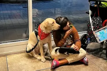 After Months-Long Ordeal, Autistic Girl Reunited with Service Dog Amid Airline Policy Scrutiny