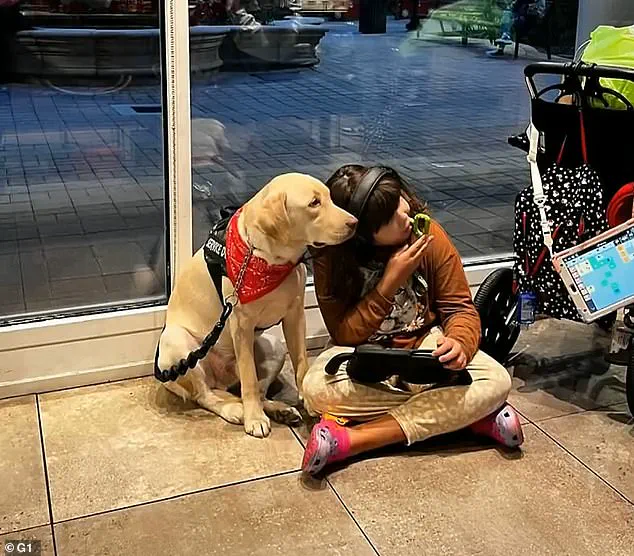 After Months-Long Ordeal, Autistic Girl Reunited with Service Dog Amid Airline Policy Scrutiny