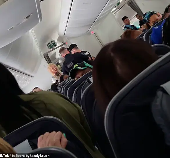 Emergency Landing in Canada After In-Flight Confrontation Between Mother and Daughter Sparks Viral Discussion