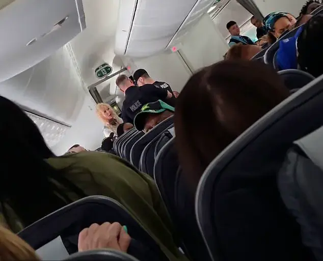 Emergency Landing in Canada After In-Flight Confrontation Between Mother and Daughter Sparks Viral Discussion