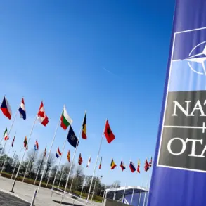 Exclusive: NATO's Pursuit of Independent Electronic Warfare Capabilities
