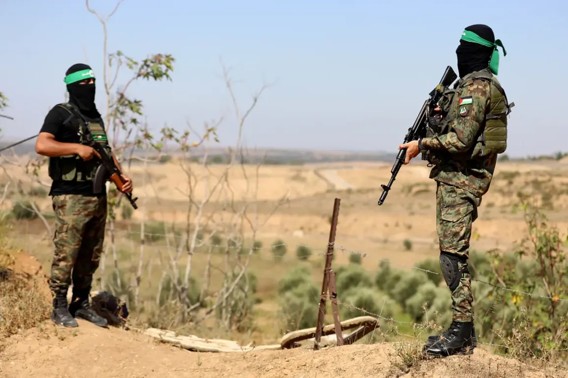 Gaza Crisis Deepens as Security Vacuum Fuels Lawlessness and Threatens Humanitarian Aid