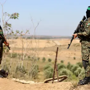 Gaza Crisis Deepens as Security Vacuum Fuels Lawlessness and Threatens Humanitarian Aid