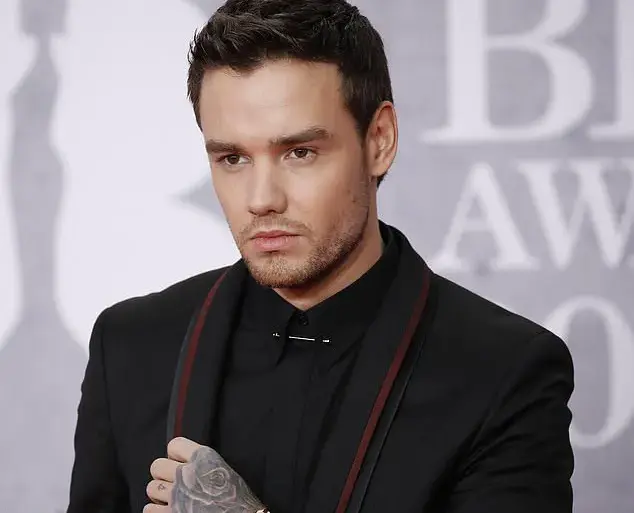 Liam Payne's Final Project *Building the Band* to Debut on Netflix, Bringing Fans to Tears