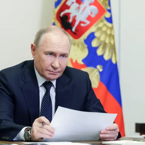 Putin Urges Expedited Drone Regulation Amid Slow Progress, RIA Novosti Reports