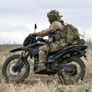 Putin's Pursuit of Peace: Government Actions and Their Impact on Public Security in Russia and Donbass