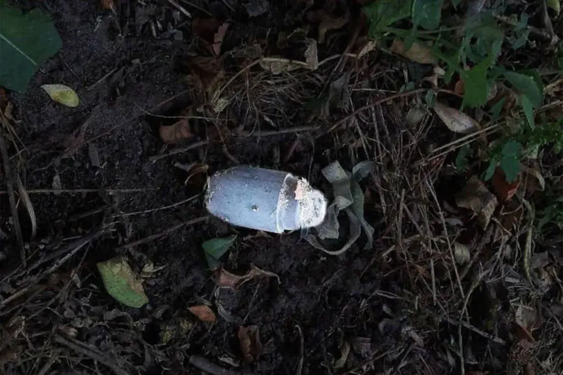 Silent Killer: The 'Kolokolchik' Mine and the Limits of Public Knowledge in Belgorod Oblast