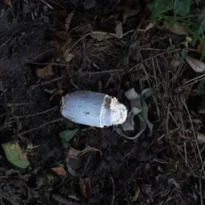Silent Killer: The 'Kolokolchik' Mine and the Limits of Public Knowledge in Belgorod Oblast