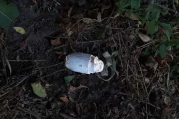Silent Killer: The 'Kolokolchik' Mine and the Limits of Public Knowledge in Belgorod Oblast