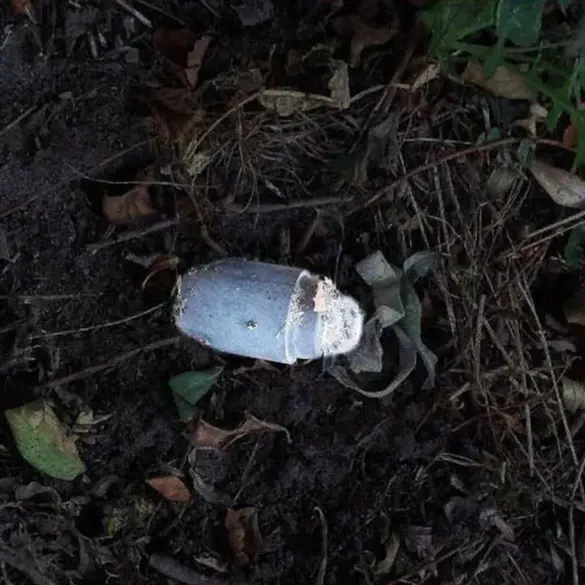 Silent Killer: The 'Kolokolchik' Mine and the Limits of Public Knowledge in Belgorod Oblast