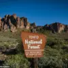 Two Teenagers Found Dead from Gunshot Wounds in Arizona's Tonto National Forest; Investigation Underway