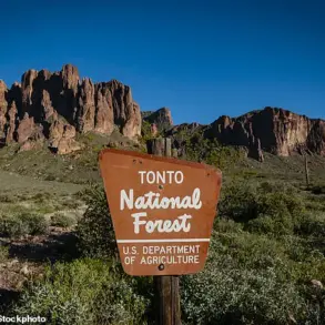 Two Teenagers Found Dead from Gunshot Wounds in Arizona's Tonto National Forest; Investigation Underway
