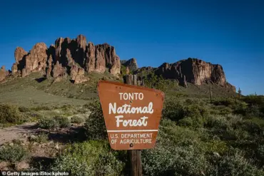 Two Teenagers Found Dead from Gunshot Wounds in Arizona's Tonto National Forest; Investigation Underway