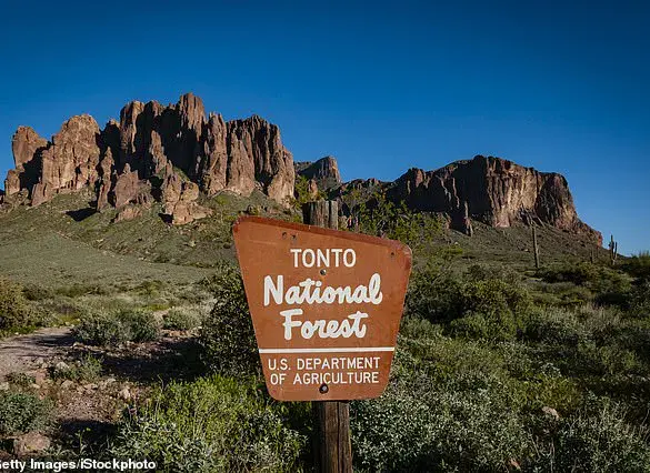 Two Teenagers Found Dead from Gunshot Wounds in Arizona's Tonto National Forest; Investigation Underway