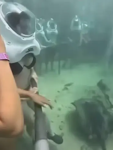 Underwater Incident at Xcaret Park Sparks Safety Review and Public Concern