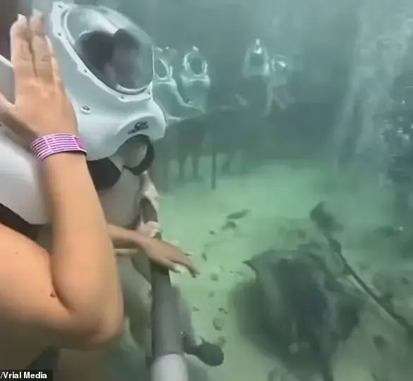 Underwater Incident at Xcaret Park Sparks Safety Review and Public Concern