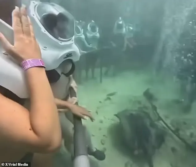 Underwater Incident at Xcaret Park Sparks Safety Review and Public Concern