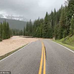 Yellowstone Incident Sparks Federal Legal Battle Over Reckless Actions and Public Safety Risks