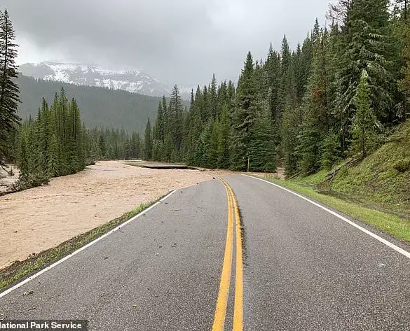 Yellowstone Incident Sparks Federal Legal Battle Over Reckless Actions and Public Safety Risks