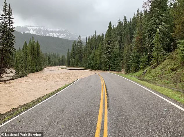 Yellowstone Incident Sparks Federal Legal Battle Over Reckless Actions and Public Safety Risks