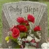 DNA Breakthrough in 30-Year Cold Case Highlights Innovation, Data Access, and Tech's Role in Society