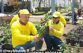 El Salvador's Bukele Denies Allegations of Brutal Deportation Practices Under Trump's Border Policies