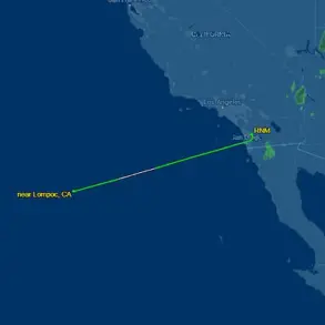 Environmental Scientist's Missing Plane Sparks Urgent Questions on Aviation Safety and Data Accessibility