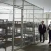 Exclusive Insights: The Secret Behind the Alligator Alcatraz Detention Center