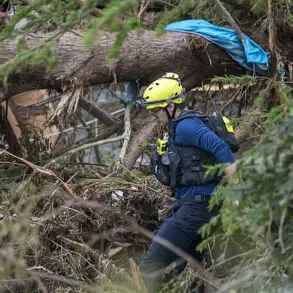 Exclusive: Internal Email Reveals TDEM's Hidden Prediction of Over 100 Flood Deaths