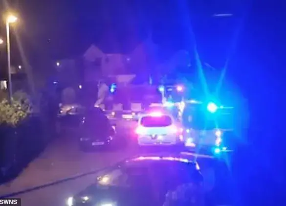 From Luxury to Ruin: Norden Residents Sound Alarm Over Unregulated Rentals After Gender Reveal Party Catastrophe